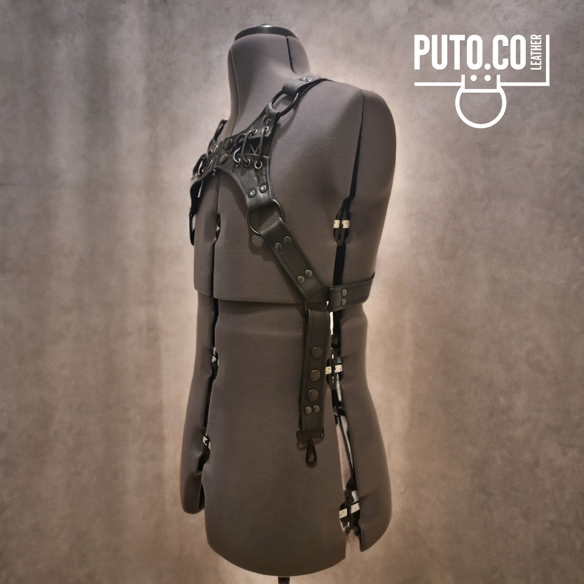 The Vertebrae — 12
